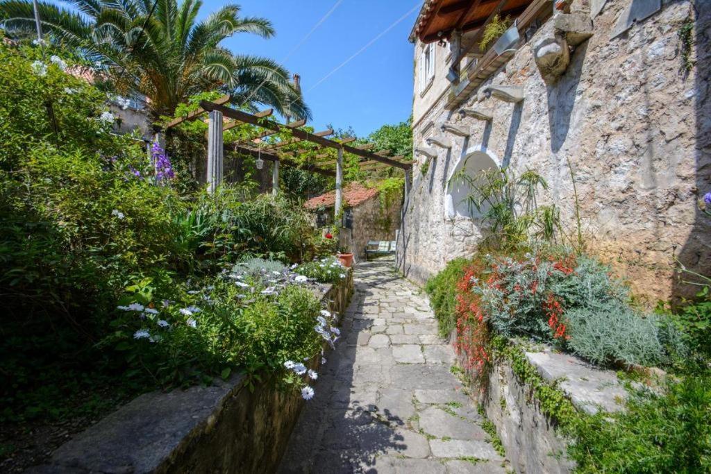 Stella City Center Accommodation Dubrovnik Eksteriør billede